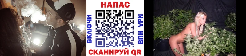 Шишки марихуана Amnesia  закладки  hydra ссылка  маркетплейс какой сайт  Тольятти 
